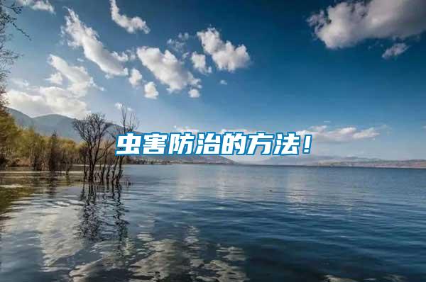 蟲(chóng)害防治的方法！