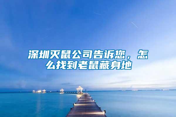 深圳滅鼠公司告訴您，怎么找到老鼠藏身地