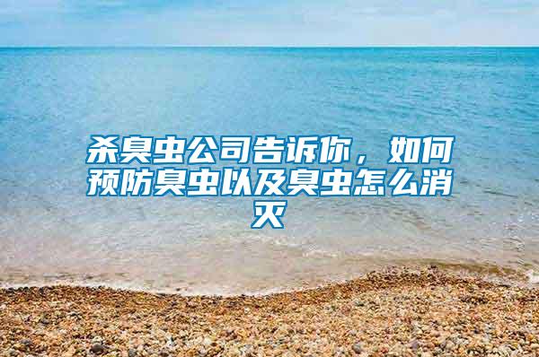 殺臭蟲公司告訴你，如何預防臭蟲以及臭蟲怎么消滅