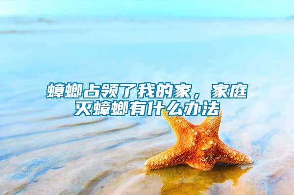 蟑螂占領(lǐng)了我的家，家庭滅蟑螂有什么辦法