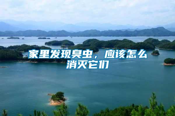 家里發(fā)現(xiàn)臭蟲，應(yīng)該怎么消滅它們
