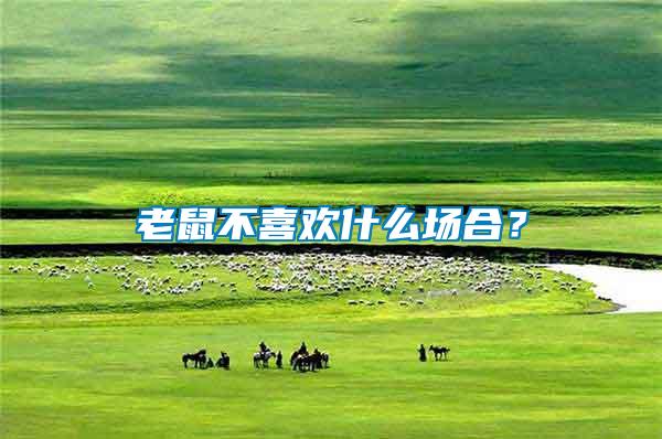 老鼠不喜歡什么場(chǎng)合？