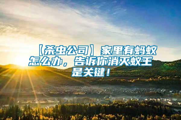 【殺蟲公司】家里有螞蟻怎么辦，告訴你消滅蟻王是關(guān)鍵！