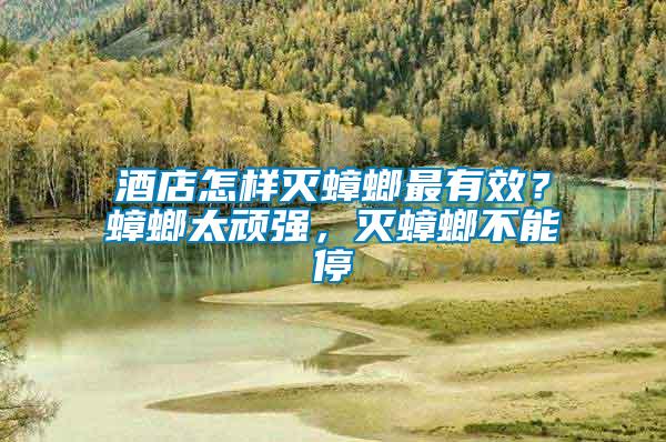 酒店怎樣滅蟑螂最有效？蟑螂太頑強(qiáng)，滅蟑螂不能停