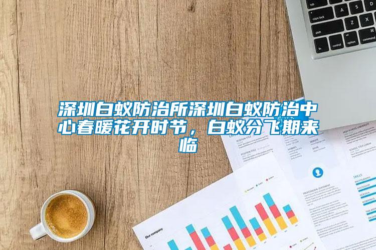 深圳白蟻防治所深圳白蟻防治中心春暖花開時節(jié)，白蟻分飛期來臨