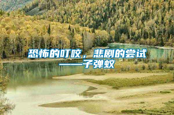 恐怖的叮咬，悲劇的嘗試——子彈蟻