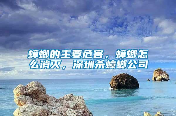 蟑螂的主要危害，蟑螂怎么消滅，深圳殺蟑螂公司