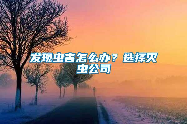 發(fā)現(xiàn)蟲害怎么辦？選擇滅蟲公司