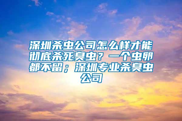 深圳殺蟲公司怎么樣才能徹底殺死臭蟲？一個(gè)蟲卵都不留；深圳專業(yè)殺臭蟲公司