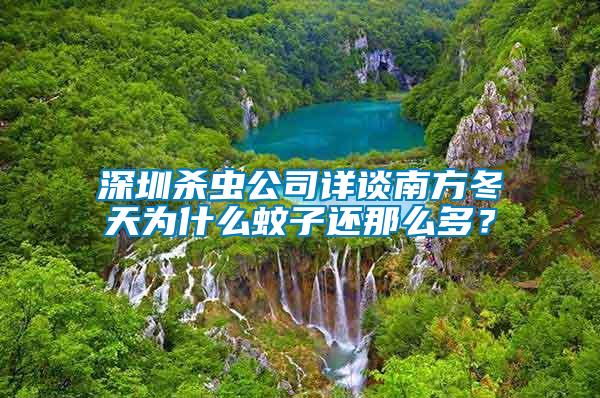 深圳殺蟲公司詳談南方冬天為什么蚊子還那么多？