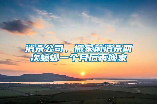 消殺公司，搬家前消殺兩次蟑螂一個月后再搬家