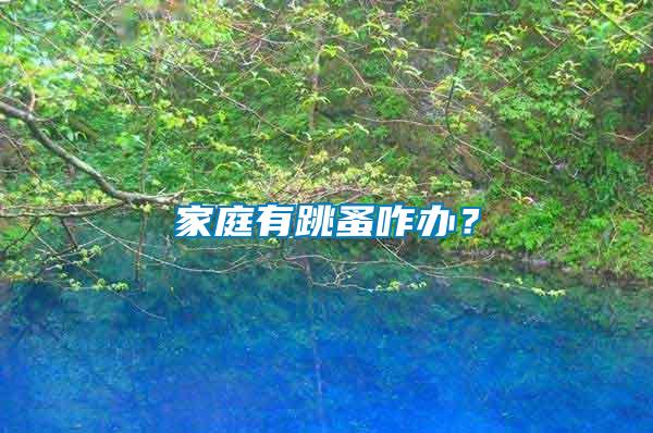 家庭有跳蚤咋辦？