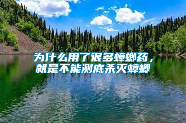 為什么用了很多蟑螂藥，就是不能測底殺滅蟑螂
