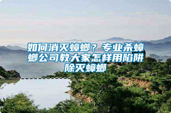 如何消滅蟑螂？專業(yè)殺蟑螂公司教大家怎樣用陷阱除滅蟑螂