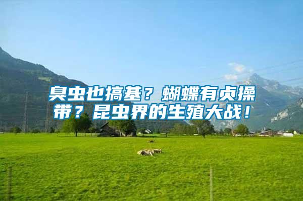 臭蟲也搞基？蝴蝶有貞操帶？昆蟲界的生殖大戰(zhàn)！