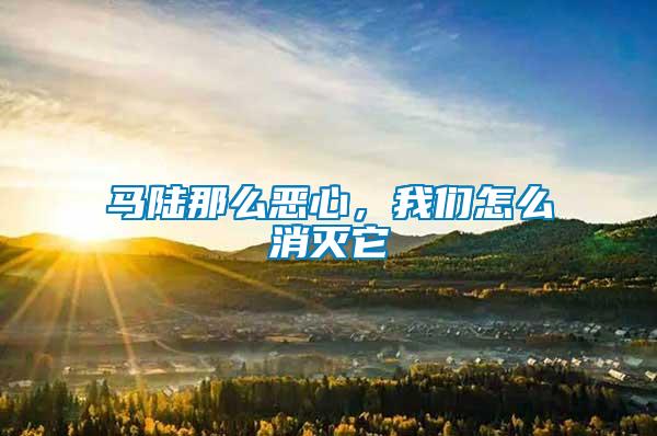 馬陸那么惡心，我們?cè)趺聪麥缢?/></p>
             <p style=