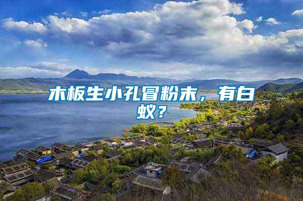 木板生小孔冒粉末，有白蟻？