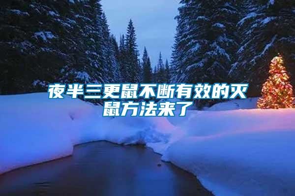 夜半三更鼠不斷有效的滅鼠方法來(lái)了