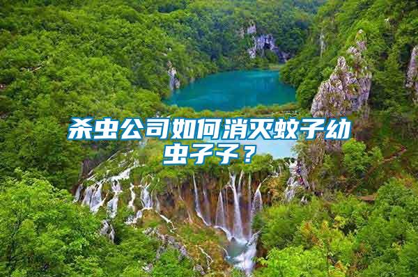 殺蟲公司如何消滅蚊子幼蟲孑孓？