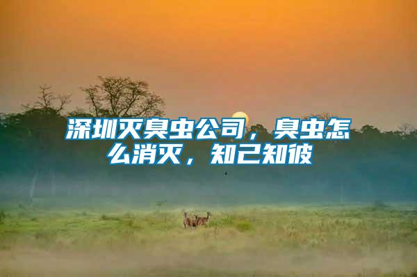 深圳滅臭蟲公司，臭蟲怎么消滅，知己知彼