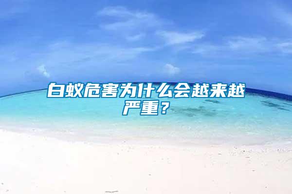 白蟻危害為什么會(huì)越來越嚴(yán)重？