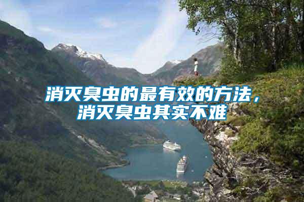 消滅臭蟲的最有效的方法，消滅臭蟲其實(shí)不難