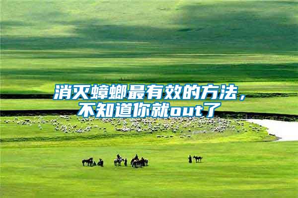 消滅蟑螂最有效的方法，不知道你就out了