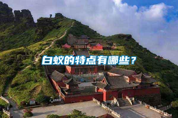 白蟻的特點(diǎn)有哪些？