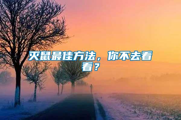 滅鼠最佳方法，你不去看看？