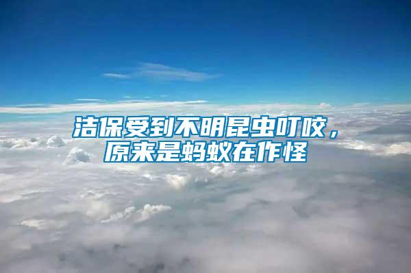 潔保受到不明昆蟲叮咬，原來是螞蟻在作怪