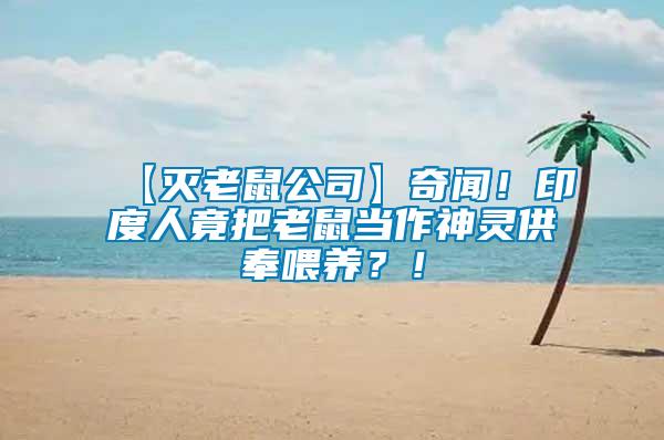 【滅老鼠公司】奇聞！印度人竟把老鼠當(dāng)作神靈供奉喂養(yǎng)？！
