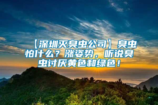 【深圳滅臭蟲公司】臭蟲怕什么？漲姿勢，聽說臭蟲討厭黃色和綠色！