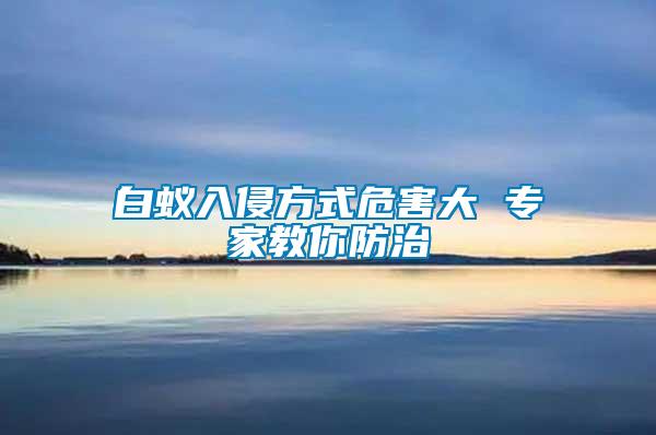白蟻入侵方式危害大 專(zhuān)家教你防治
