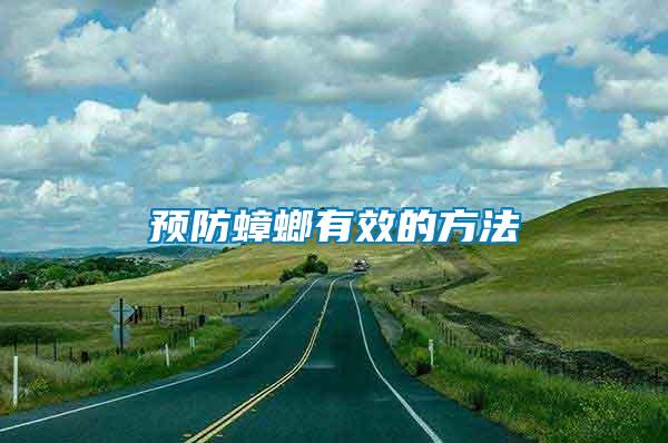 預防蟑螂有效的方法