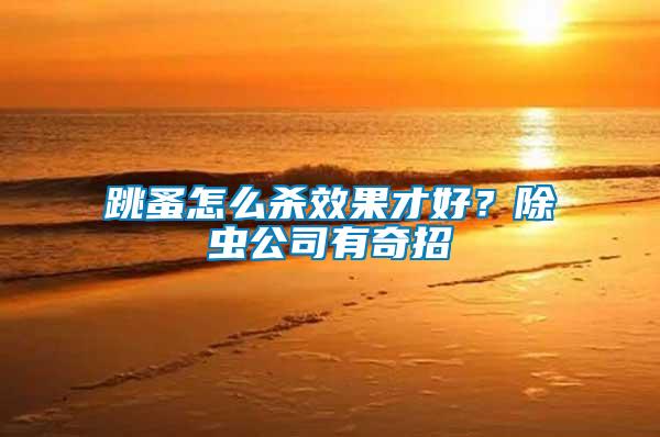 跳蚤怎么殺效果才好？除蟲公司有奇招
