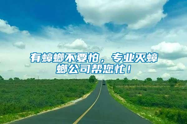 有蟑螂不要怕，專業(yè)滅蟑螂公司幫您忙！