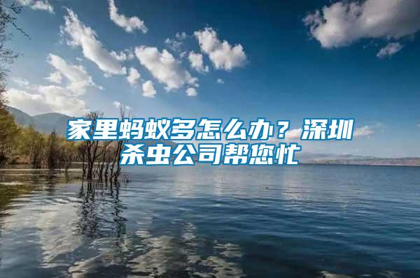 家里螞蟻多怎么辦？深圳殺蟲公司幫您忙