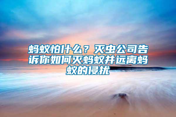 螞蟻怕什么？滅蟲(chóng)公司告訴你如何滅螞蟻并遠(yuǎn)離螞蟻的侵?jǐn)_