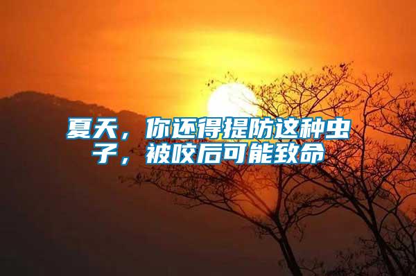 夏天，你還得提防這種蟲子，被咬后可能致命