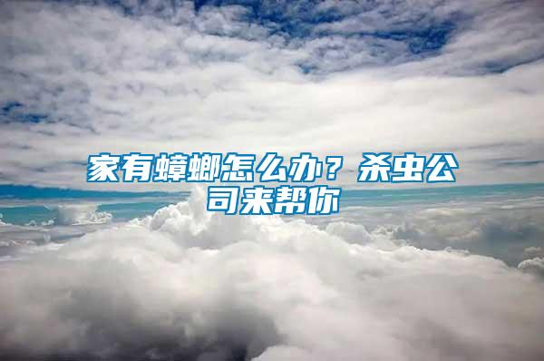 家有蟑螂怎么辦？殺蟲公司來幫你
