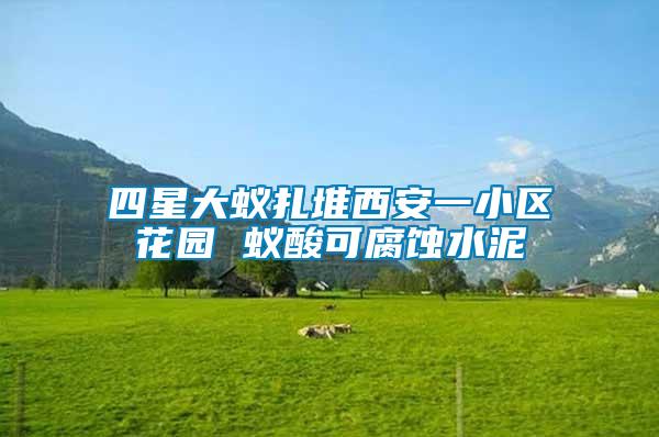 四星大蟻扎堆西安一小區(qū)花園 蟻酸可腐蝕水泥