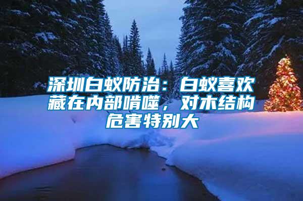 深圳白蟻防治：白蟻喜歡藏在內(nèi)部啃噬，對木結(jié)構(gòu)危害特別大