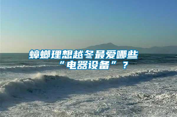 蟑螂理想越冬最?lèi)?ài)哪些“電器設(shè)備”？