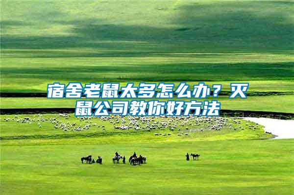 宿舍老鼠太多怎么辦？滅鼠公司教你好方法