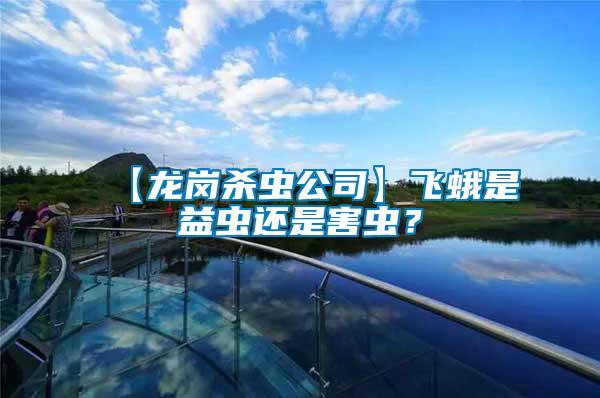 【龍崗殺蟲公司】飛蛾是益蟲還是害蟲？