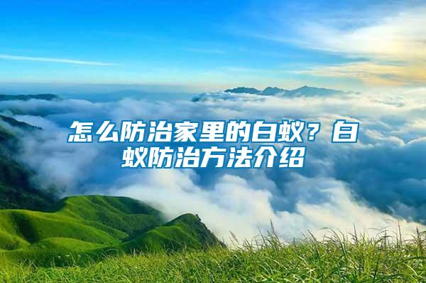 怎么防治家里的白蟻？白蟻防治方法介紹