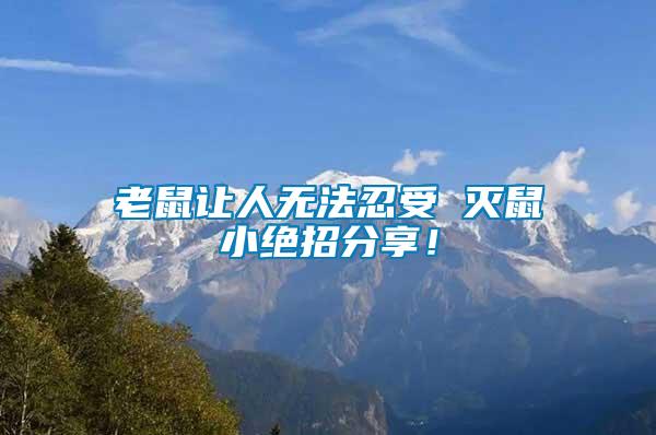 老鼠讓人無法忍受 滅鼠小絕招分享！