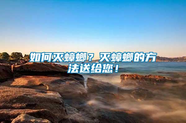 如何滅蟑螂？滅蟑螂的方法送給您！