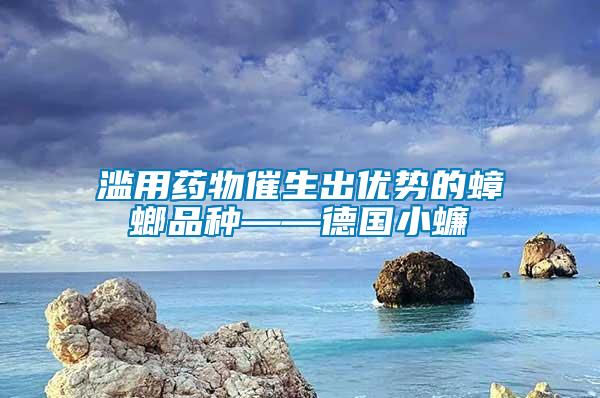 濫用藥物催生出優(yōu)勢(shì)的蟑螂品種——德國(guó)小蠊