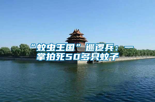 “蚊蟲(chóng)王國(guó)”巡邏兵：一掌拍死50多只蚊子